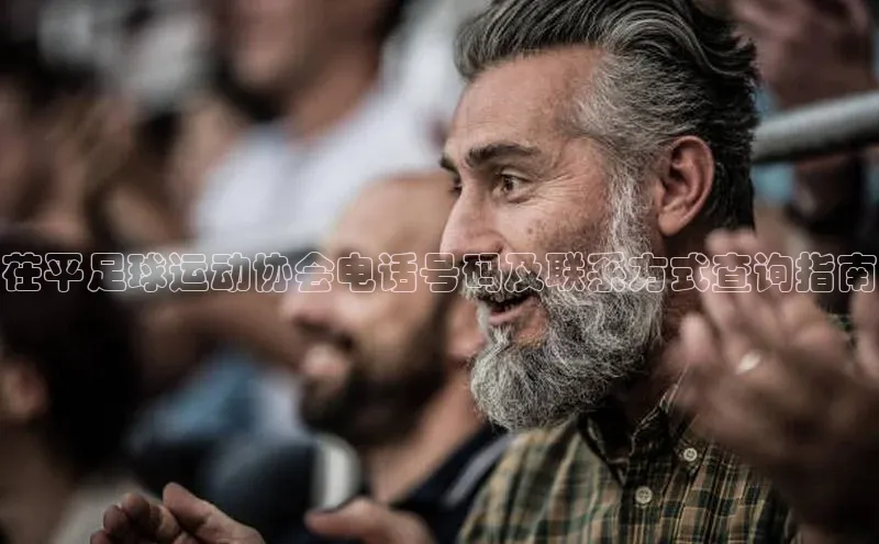 天辰娱乐百度游戏茌平足球运动协会电话号码及联系方式查询指南