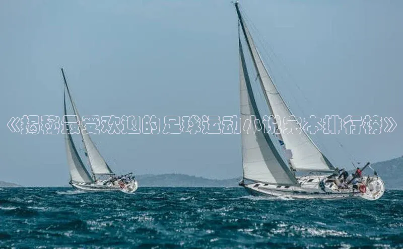 天辰平台用户登录入口百度网盘《揭秘最受欢迎的足球运动小说完本排行榜》