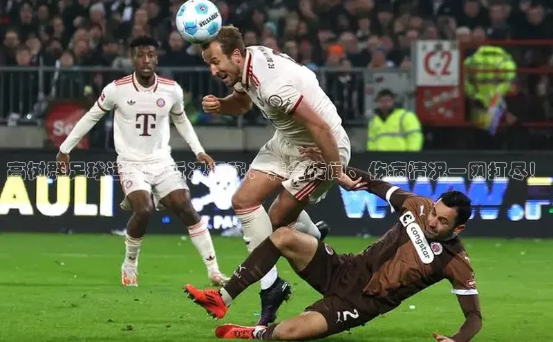 天辰注册官网登录入口小度商城高树群足球运动员近况揭秘：转会传闻、伤病情况一网打尽！