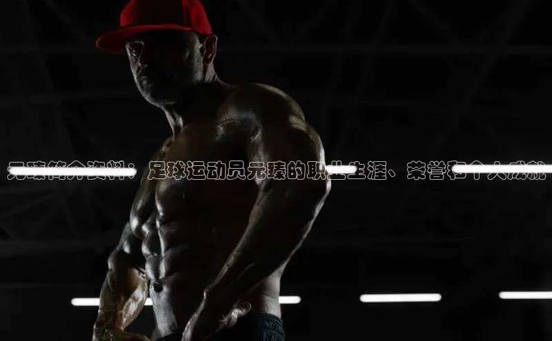 天辰注册登录官网百度手机卫士元臻简介资料：足球运动员元臻的职业生涯、荣誉和个人成就