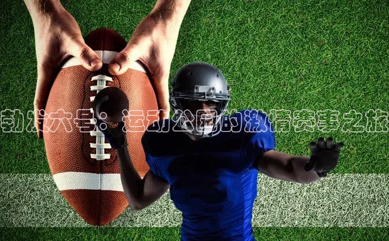 天辰平台官网登录入口皮阿诺勃发六号：运动公园的激情赛事之旅