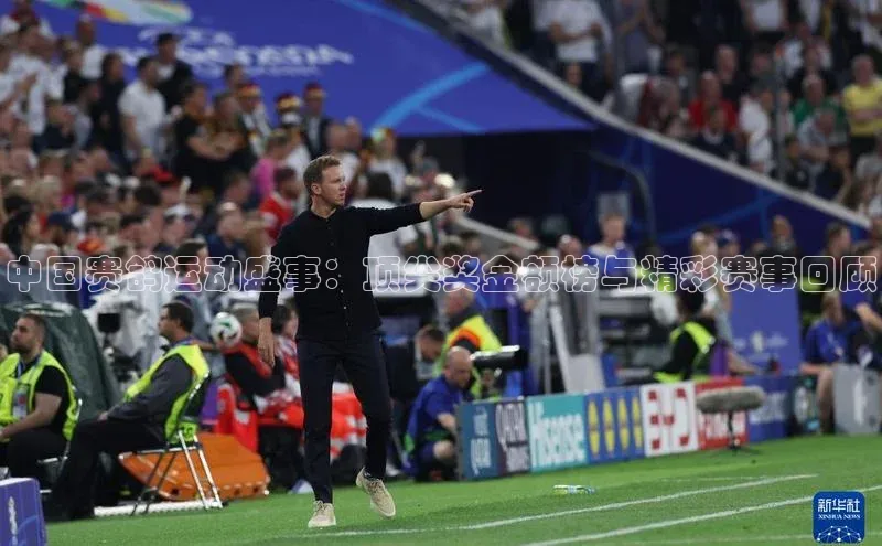 中国赛鸽运动盛事：顶尖奖金额榜与精彩赛事回顾