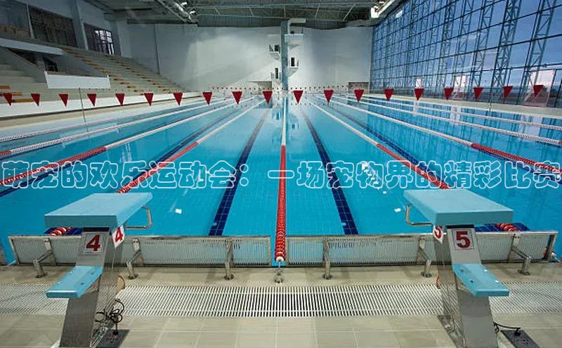 天辰平台在线注册